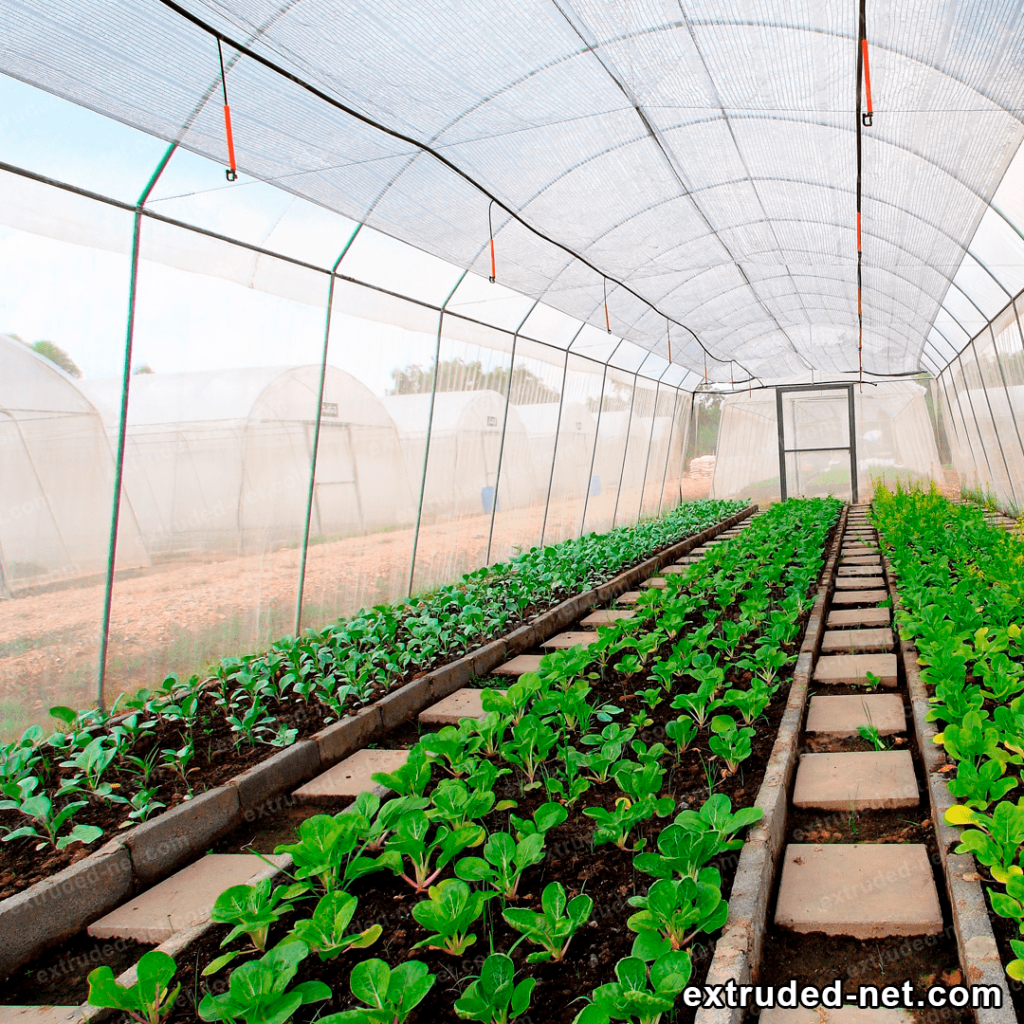 anti aphids mesh installed in a greenhouse