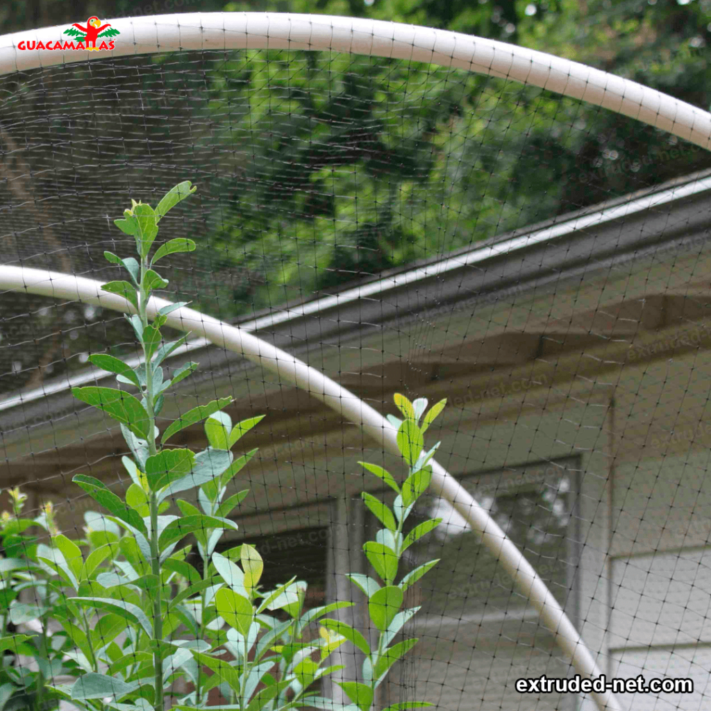 bird net installed in a garden