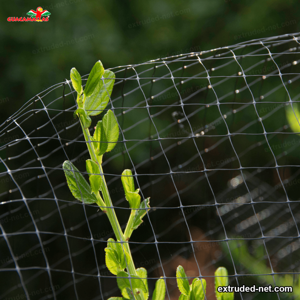 plastic extruded mesh
